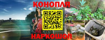 mdpv Славянск-на-Кубани
