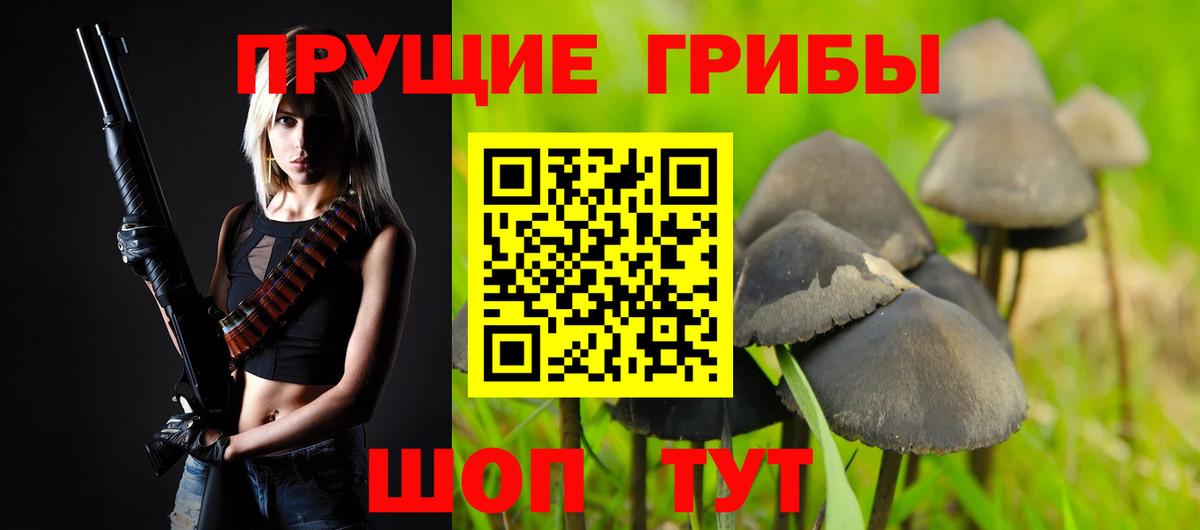 Псилоцибиновые грибы MAGIC MUSHROOMS  Вход с VPN  Ногинск 